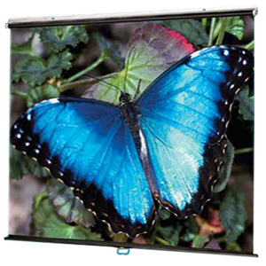 Draper V Screen Manual Wall and Ceiling Projection Screen 210004