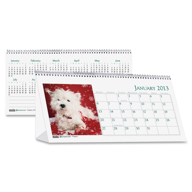 House of Doolittle Puppies Desktop Tent Calendar 3659 HOD3659