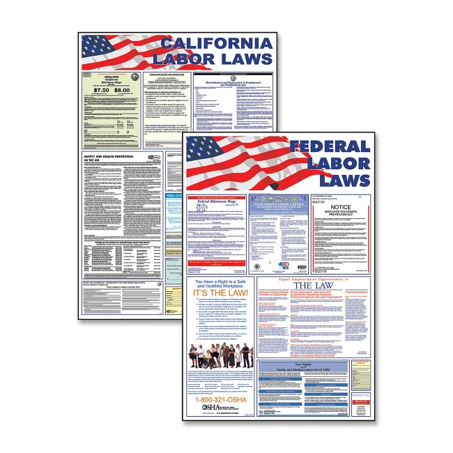 Ledu Federal and State Labor Law Poster 83905 AVT83905
