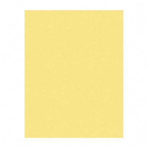 Sparco Premium-Grade Pastel Color Copy Paper 05125 SPR05125