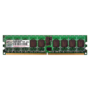 Transcend 2GB DDR2 SDRAM Memory Module TS256MQR72V8U