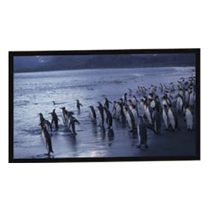 Draper Fixed Frame Projection Screen 800015