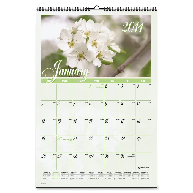 Mead Flower Garden Monthly Wall Calendar DMW30028 AAGDMW30028