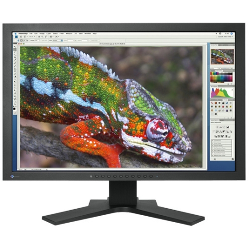 Eizo ColorEdge Widescreen LCD Monitor CG243W-BK CG243W
