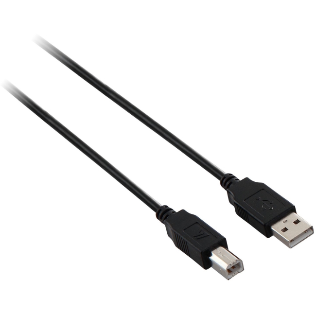 V7 USB 2.0 Cable V7N2USB2AB-06F