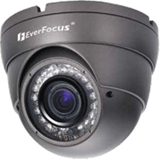 EverFocus 700 TVL 3-Axis Ball Camera EBD331E