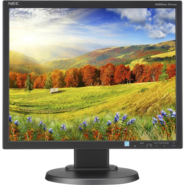 NEC Display 19" LED-backlit Desktop Monitor w/ IPS Panel and Integrated Speakers EA193MI-BK