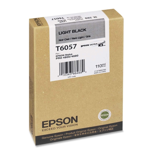 Epson Light Black Ink Cartridge T605700