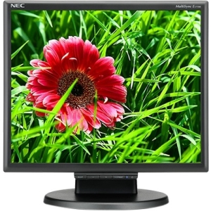 NEC Display 17" Desktop Monitor with LED Backlighting E171M-BK