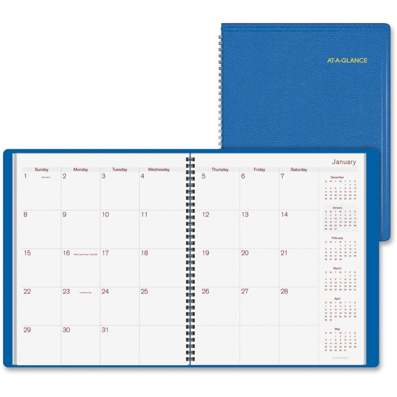 At-A-Glance Wirebound Monthly Appointment Book 7025020 AAG7025020