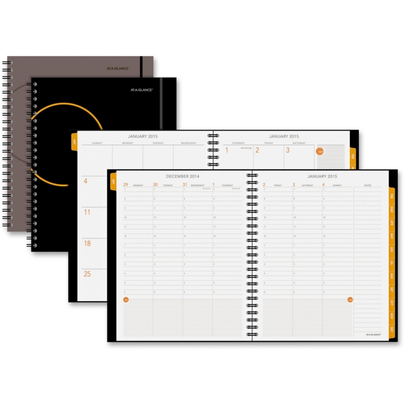 At-A-Glance Professional Weekly/Monthly Planner 70595000 AAG70595000