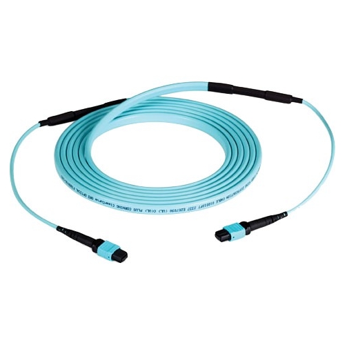 Black Box Fiber Optic Network Cable FOTC30M3-MP-12AQ-3
