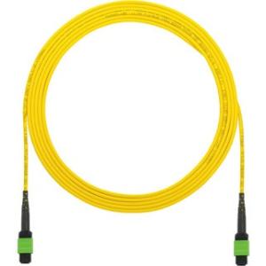 Panduit QuickNet Fiber Optic Network Cable F9TRL5N5NANM020