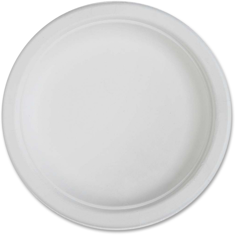 Genuine Joe Disposable Plates 10216 GJO10216