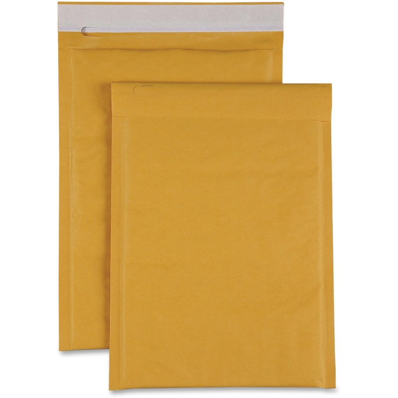 Sparco Size 00 Bubble Cushioned Mailers 74979 SPR74979