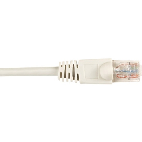 Black Box CAT6 250 MHz Ethernet Patch Cable - UTP, PVC, Snagless, Gray, 3 ft., 5-Pack CAT6PC-003-GY-5PAK