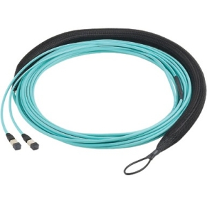 Panduit Fiber Optic Network Cable FSPX2455F100A