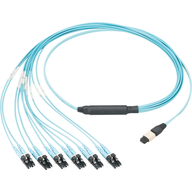 Panduit Fiber Optic Network Cable FZTHP6NLSSNM001
