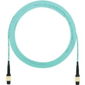 Panduit Fiber Optic Network Cable FXTRL5N5NANM008