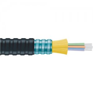 Black Box Fiber Optic Network Cable FOBC35IOAM1BK24F