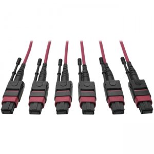 Tripp Lite MTP/MPO Multimode Base-8 Trunk Cable, Magenta, 38 m N858-38M-3X8-MG