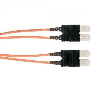 Black Box Fiber Optic Duplex Network Cable EFN4025-0100