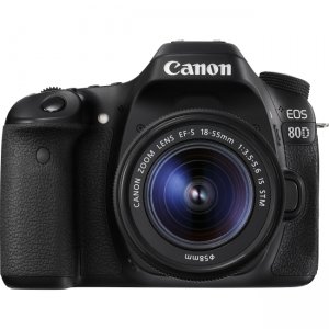 Canon EOS Digital SLR Camera with Lens 1263C005 80D