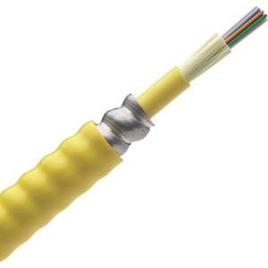 Panduit Opticore Fiber Optic Network Cable FOPPX12Y