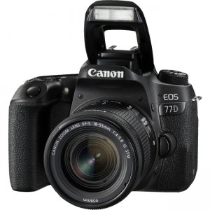Canon EOS Digital SLR Camera with Lens 1892C016 77D