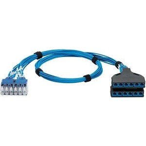 Panduit QuickNet Switch Port Harness QPCSDBBBB10