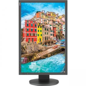 NEC Display 24" Professional Wide Gamut Desktop Monitor (Black) PA243W-BK