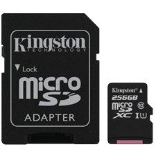 Kingston Canvas Select 256GB microSDXC Card SDCS/256GBSP