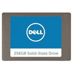 Dell Technologies Serial ATA Solid State Hard Drive - 256 GB SNP110S/256G