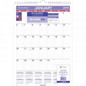 At-A-Glance Plan-A-Month Wall Calendar PM22819 AAGPM22819