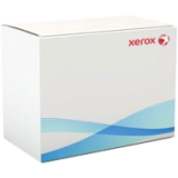 Xerox 256MB DRAM Memory Module 098N02189