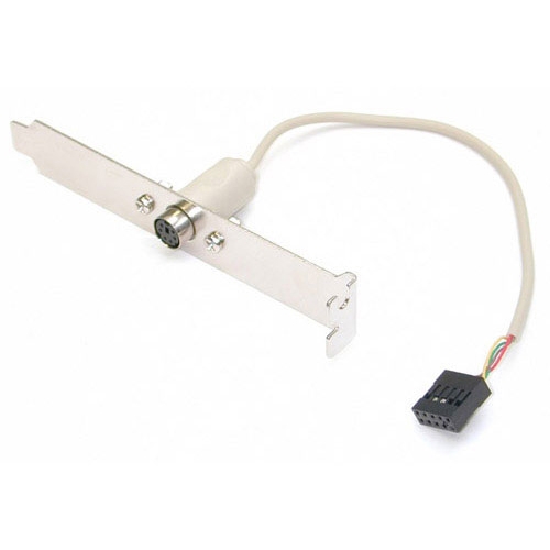 StarTech.com PS/2 Connector Slot Plate for PC PLATE6F