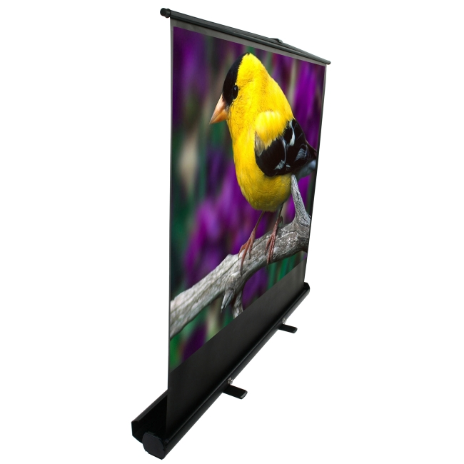 Elite Screens ezCinema Plus Portable Projection Screen F60XWV1