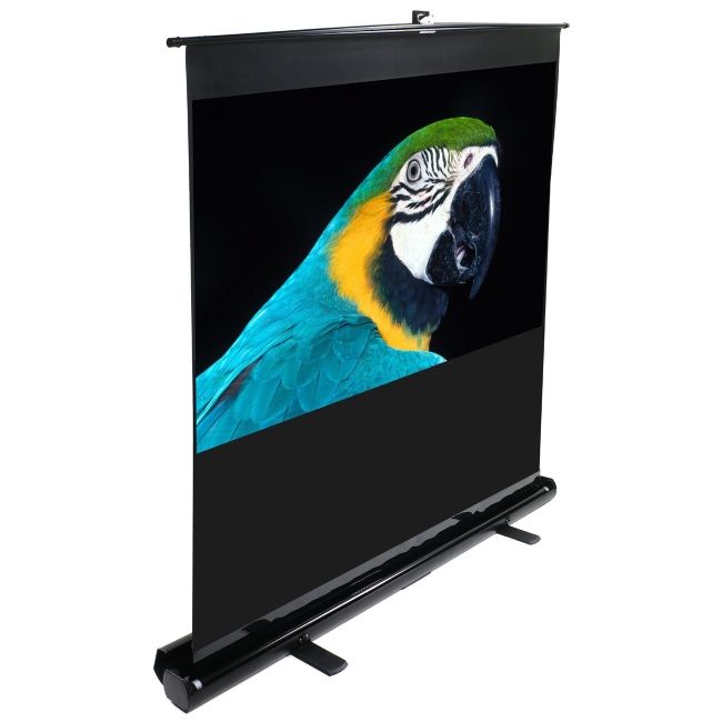Elite Screens ezCinema Portable Floor Pull Up Projection Screen F80NWH