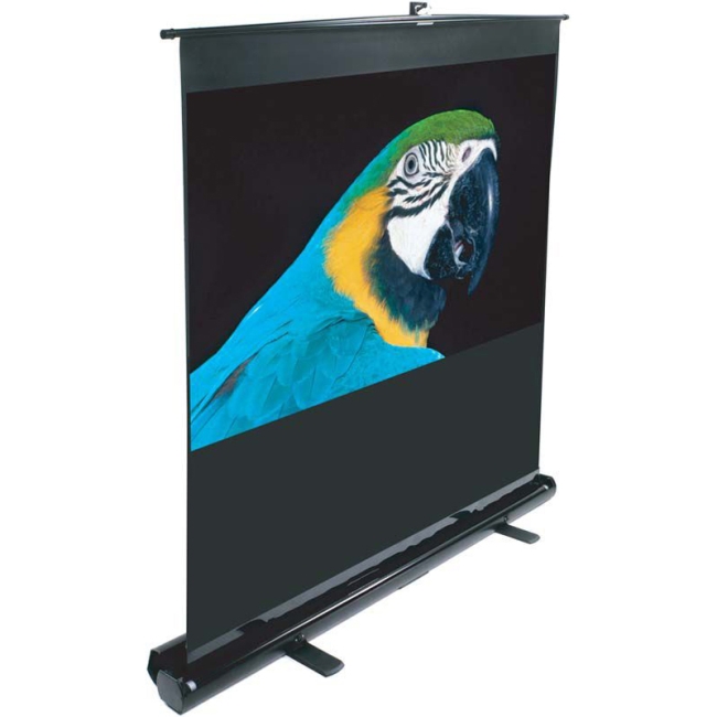 Elite Screens ezCinema Portable Projection Screen F72NWV