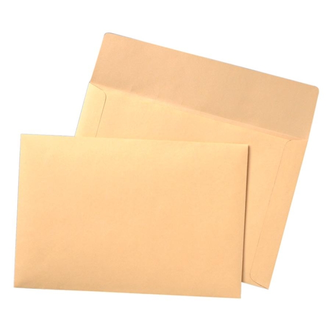 Quality Park Filing Envelopes 89606 QUA89606