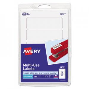 Avery Removable Multi-Use Labels, 1 x 3, White, 250/Pack AVE05436 05436