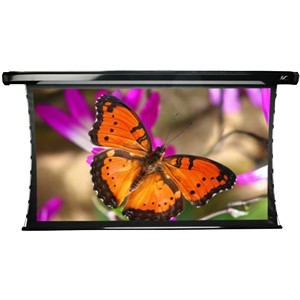 Elite Screens CineTension2 Electric Projection Screen TE120HR2