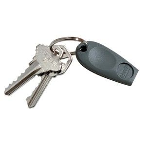 HID ProxKey II  Key Fob 1346LSSMN 1346