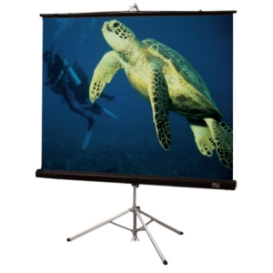 Draper Diplomat/R Tripod Projection Screen 215006