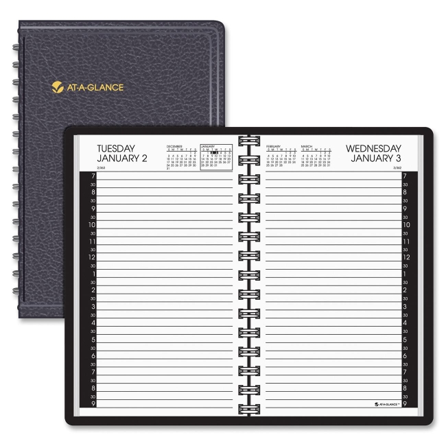 Mead Professional Daily Appointment Book 70-207-05 AAG7020705