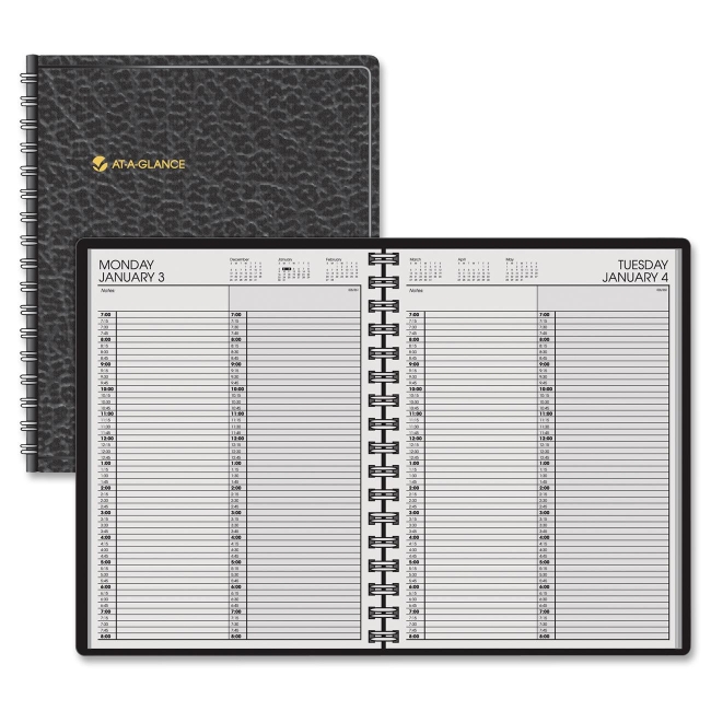 Mead Professional 2-Person Daily Appointment Book 7022205 AAG7022205