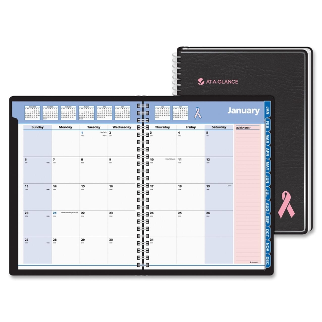 Mead QuickNotes Special Edition Appointment Book 76PN0605 AAG76PN0605