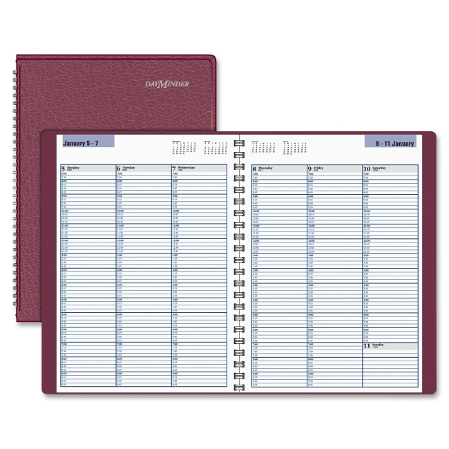 Mead Professional Appointment Book G520-14 AAGG52014