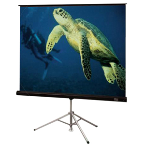 Draper Diplomat/R Tripod Projection Screen 215003