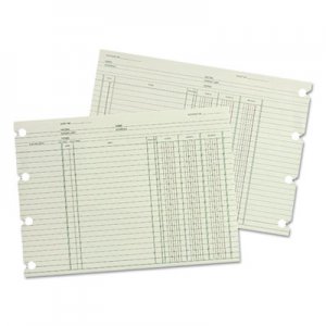 Wilson Jones Accounting, 9-1/4 x 11-7/8, 100 Loose Sheets/Pack WLJGN2B WGN2BA